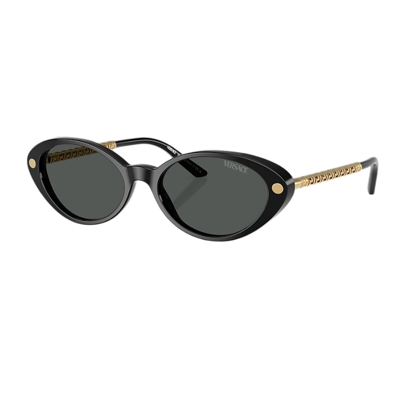 Versace VE4469 Women's Sunglasses 