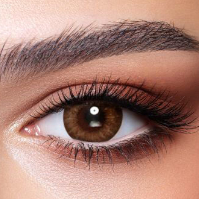 Bella One Day-Almond brown 10 Lenses