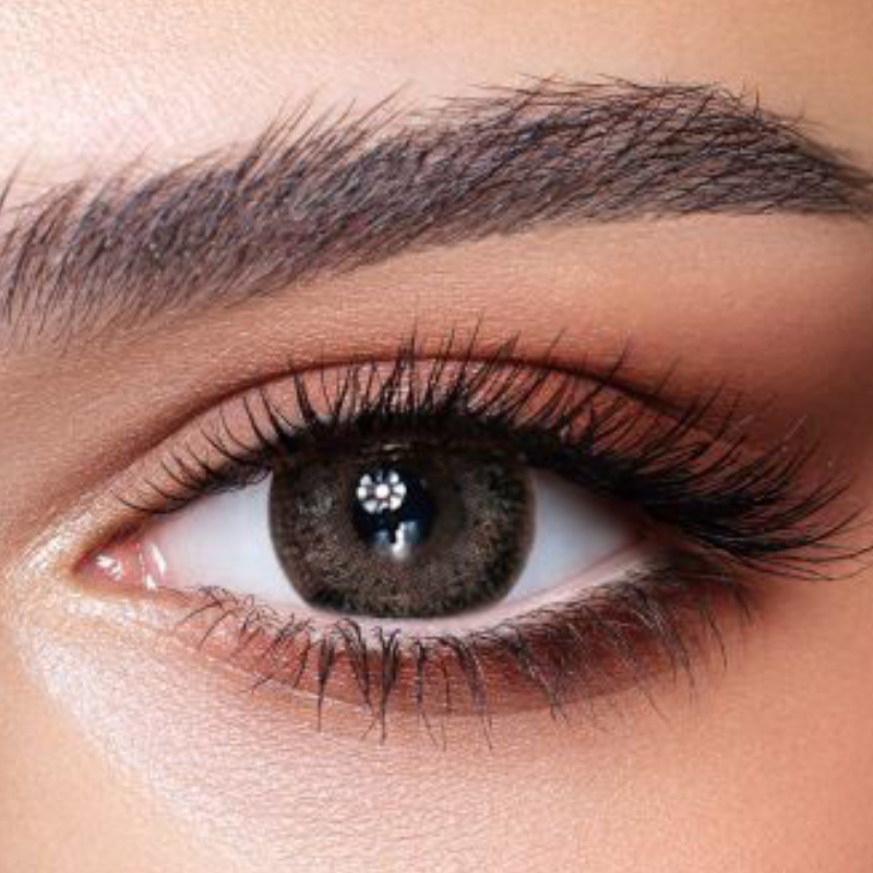 Bella One Day-Ash brown 10 Lenses