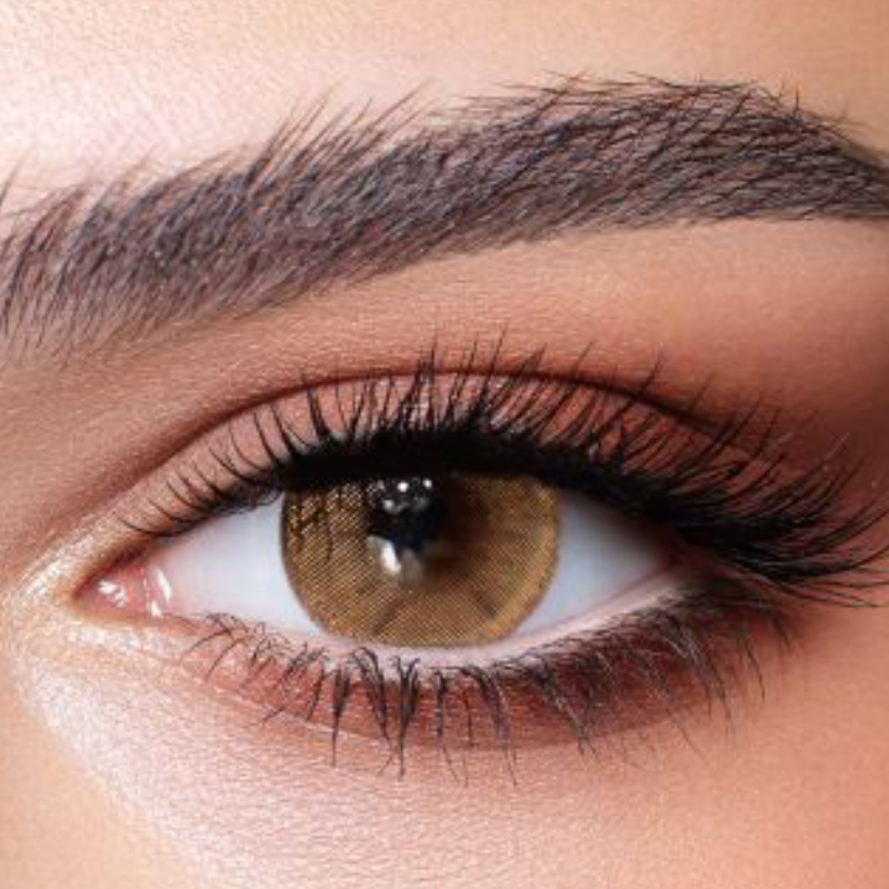 Bella One Day-Hazel beige 10 Lenses