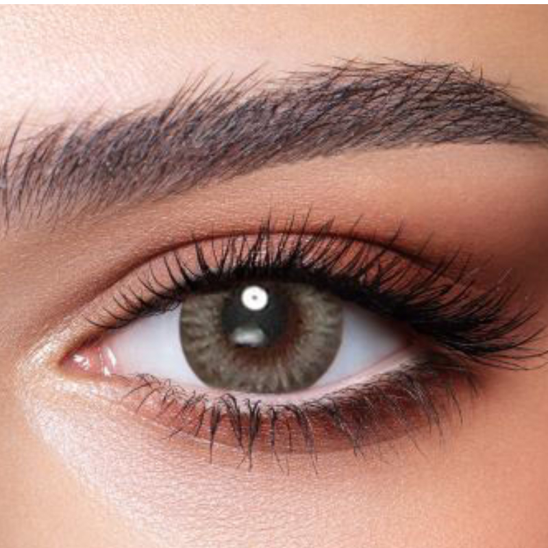 Bella One Day-Platinum gray 10 Lenses