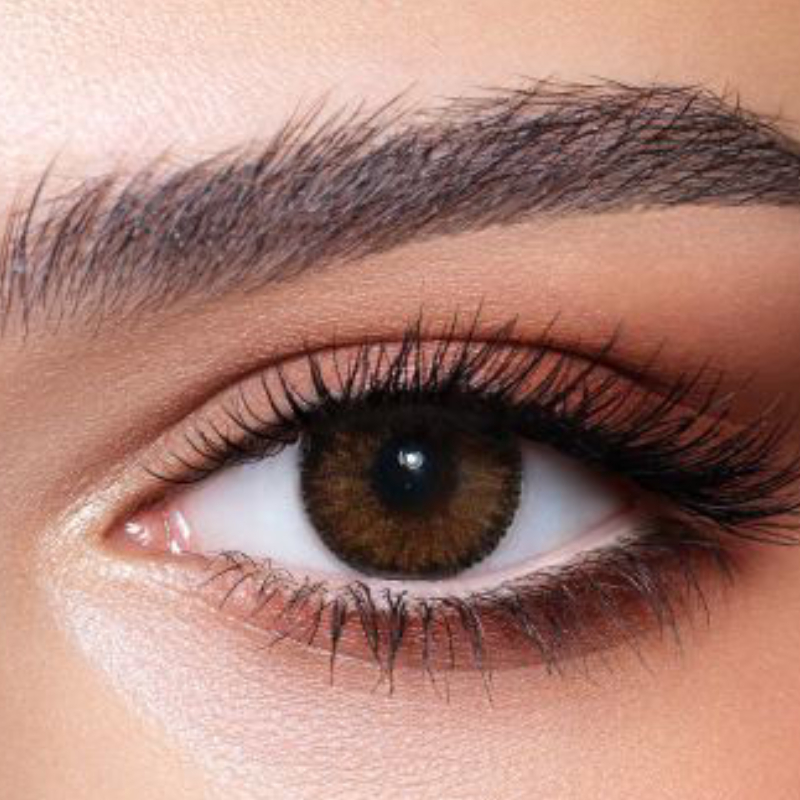 Bella Contour - 2 Lenses-Hazel