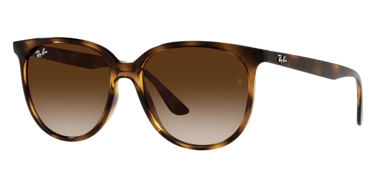 Ray-Ban RB4378 Unisex Sunglasses