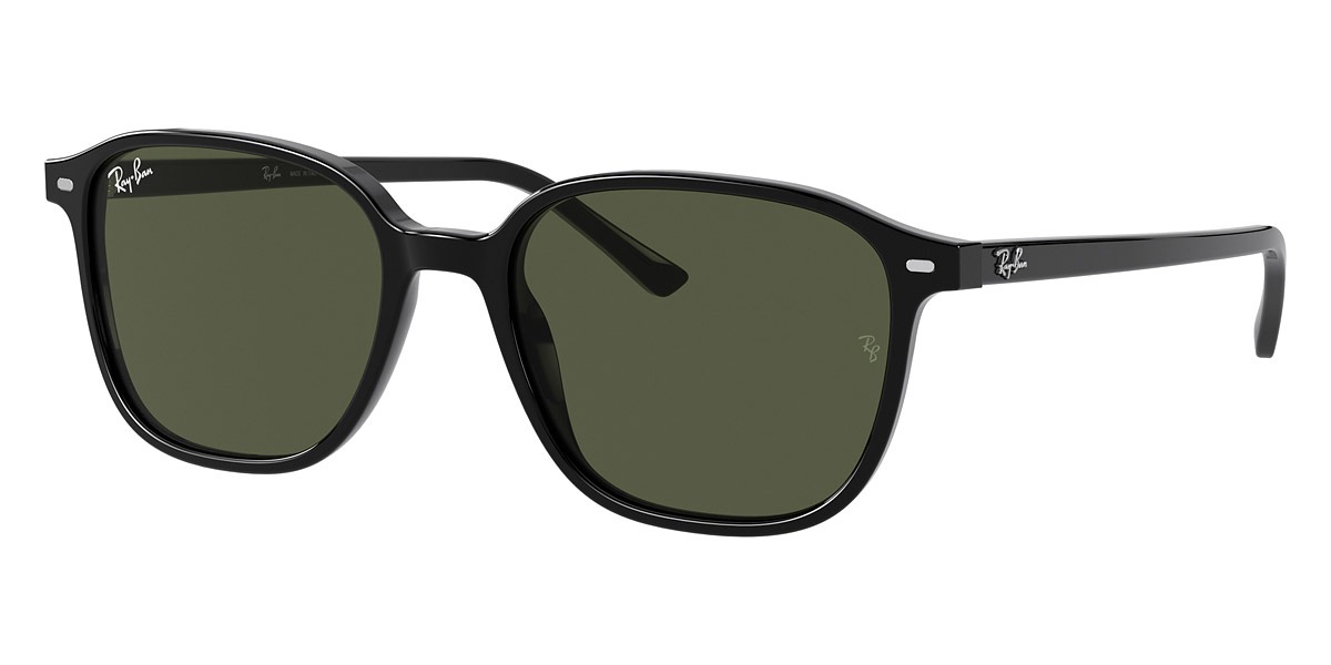 Ray-Ban RB2193 Men's Sunglasses