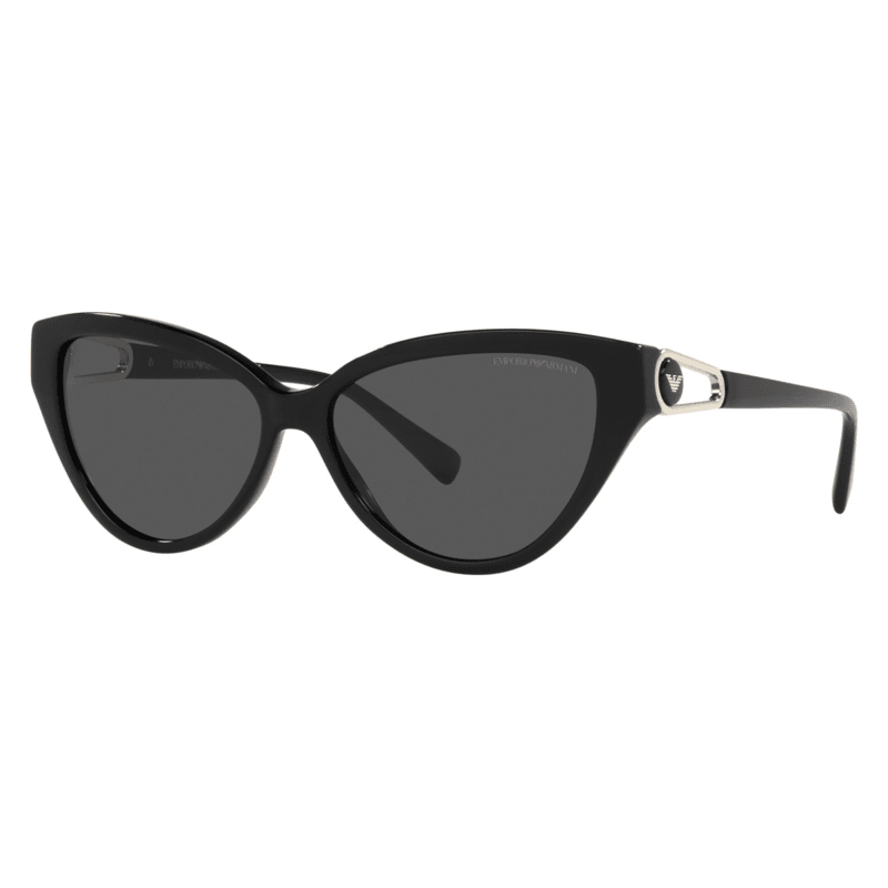 Emporio Armani EA4192 Women's Sunglasses