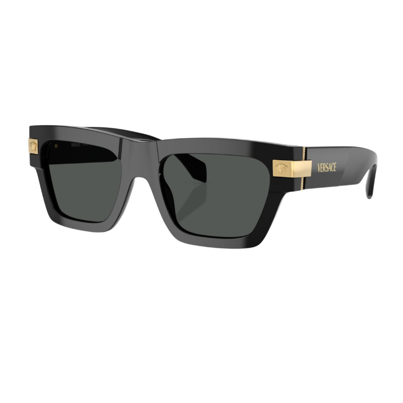 Versace VE4464 Men's Sunglasses