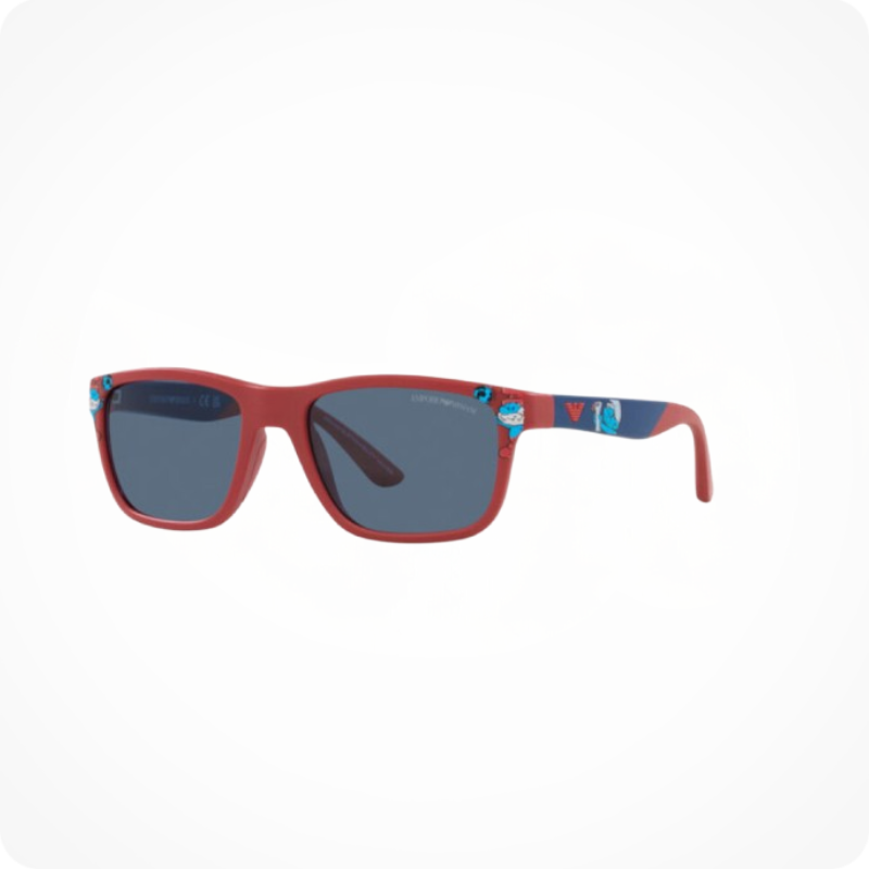 Emporio Armani  Pillow-Style Sunglasses