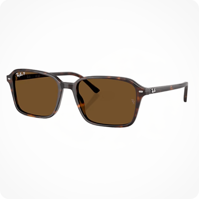 Ray-Ban RAIMOND RB2231  Unisex Sunglasses