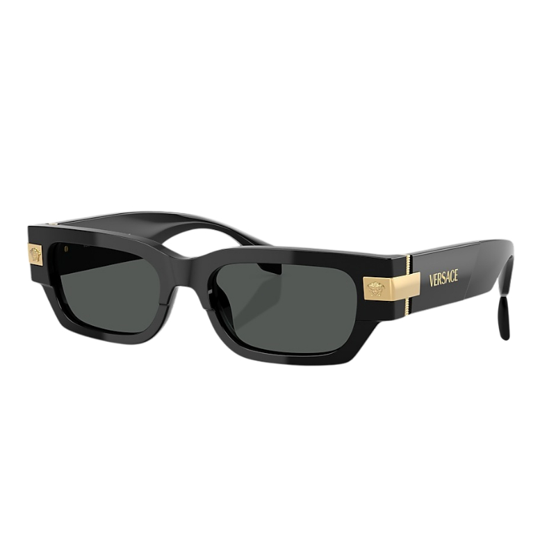 Versace VE4465 Men's Sunglasses