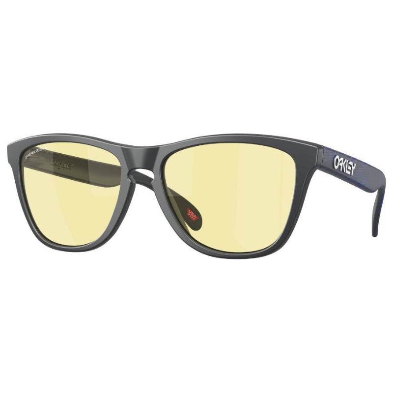 Oakley Frogskins OO9013 Men's Sunglasses