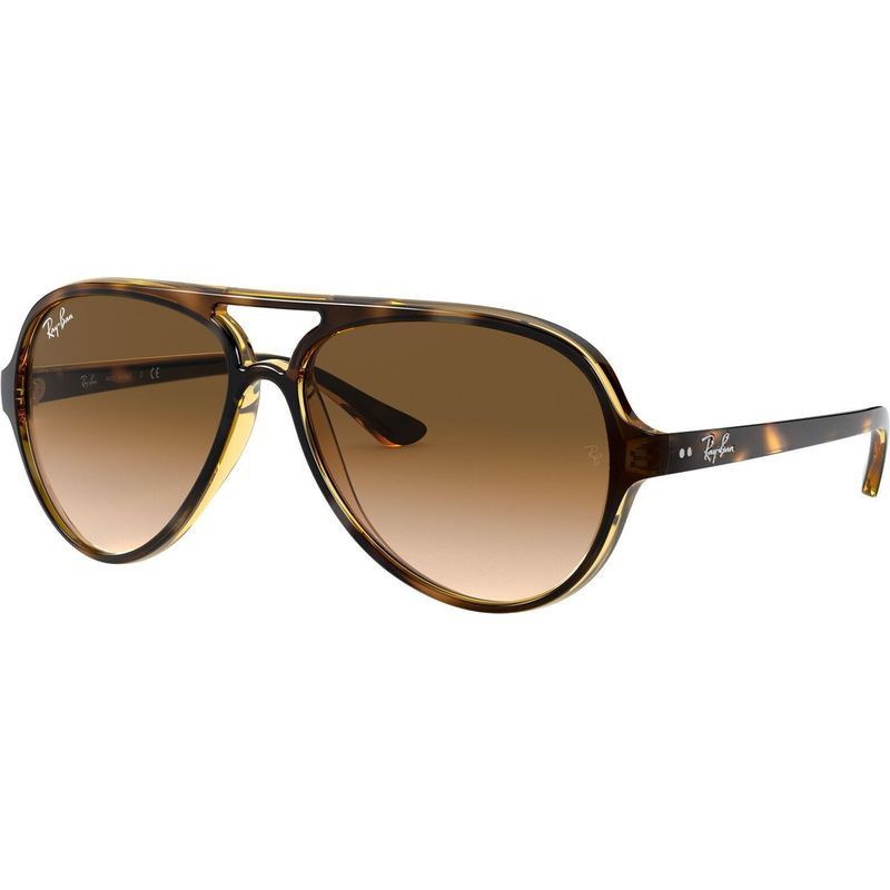 Ray-Ban RB4125 Men's Sunglasses