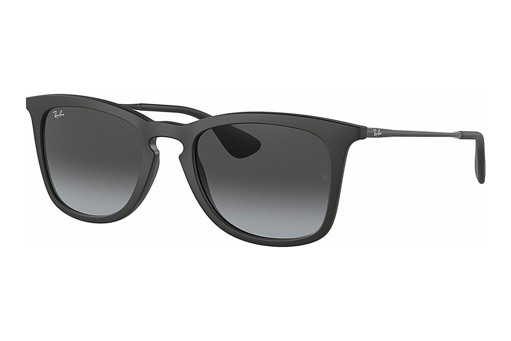 Ray-Ban RB4221 Unisex Sunglasses