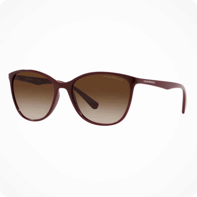 Emporio Armani EA4073 Women's Sunglasses