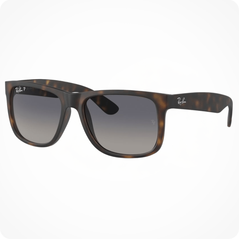 Ray-Ban RB4165 Men's Sunglasses