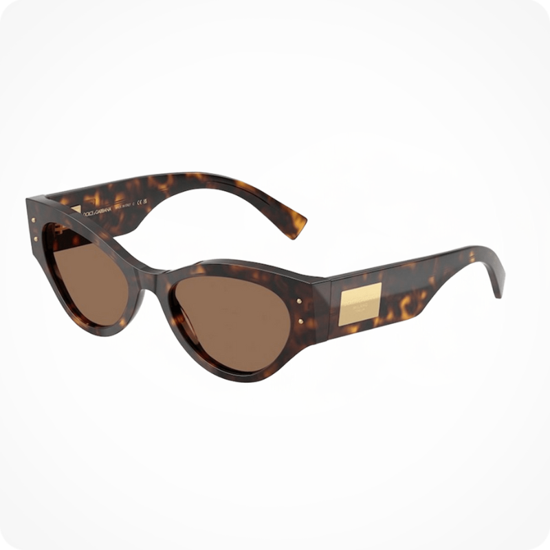 Dolce & Gabbana DG4480 Women's Sunglasses