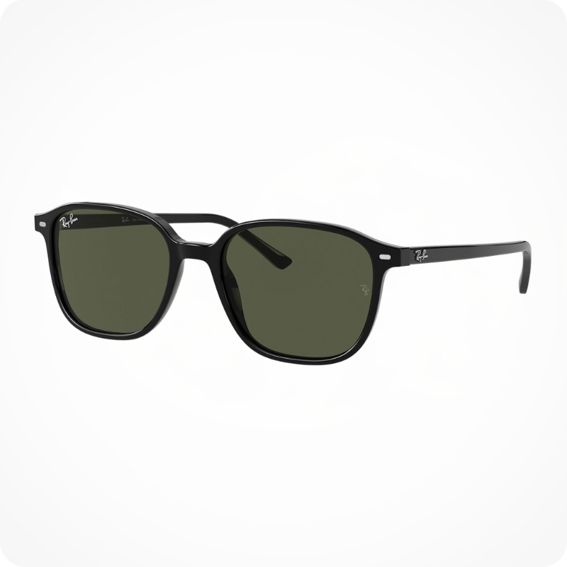 Ray-Ban RB2193 Men's Sunglasses